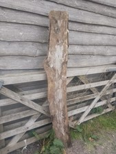 Walnut Seasoned Timber Slab