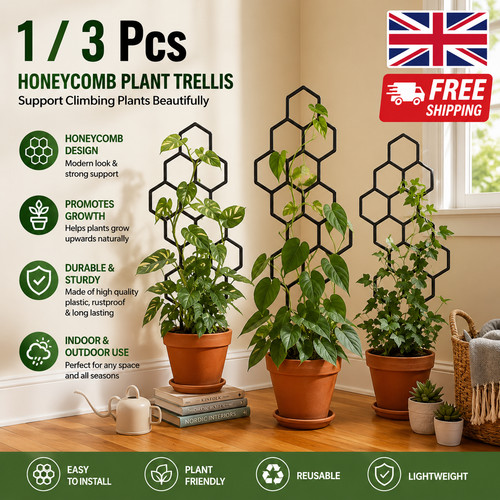 Pack honeycomb plant - 1/3-pack,