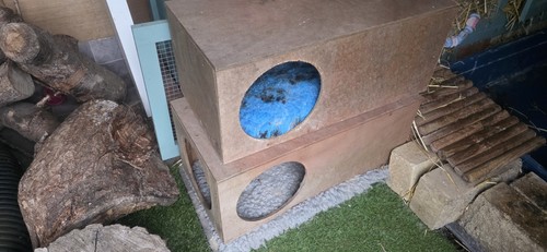 Rabbit hideaway wooden - x,
