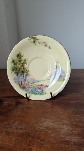 Vintage aynsley bone china - aynsley,