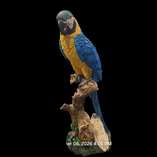Blue gold macaw parrot - blue,