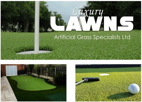 Artificial grass pro putt - artificial,