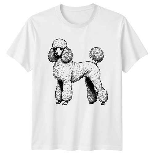 Vintage standard poodle dog - poodle,