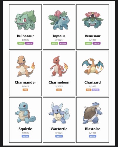 Pokemon national pokedex - national,