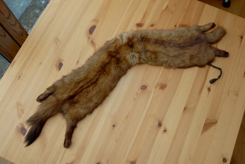 Vintage red fox - vintage, stole