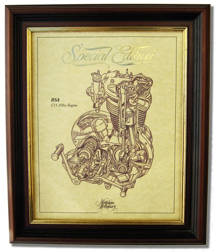 Bsa c15 250 gold - c15,