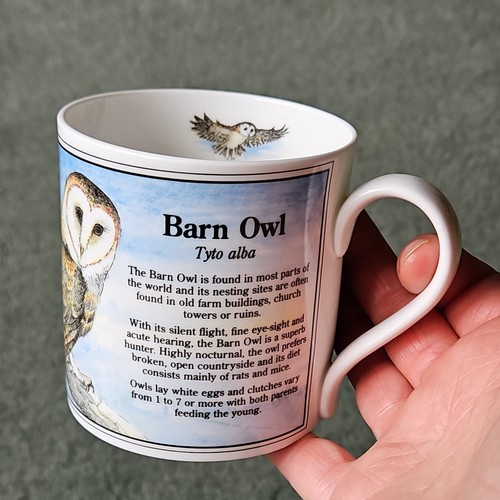 Ashley fine bone china barn - bone,
