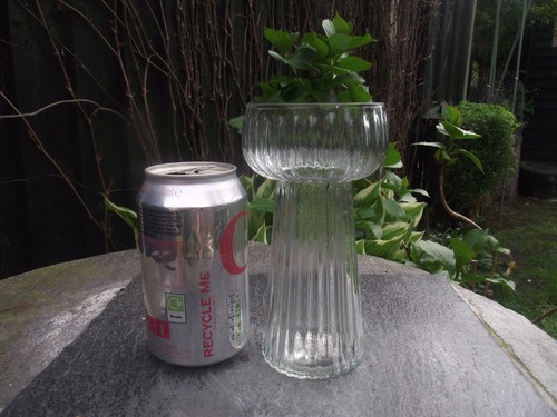 Transparent textured ribbed - transparent,