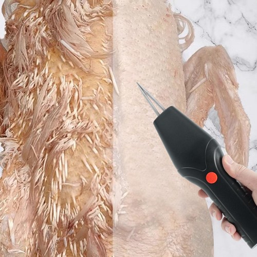 Chicken plucker machine - chicken,