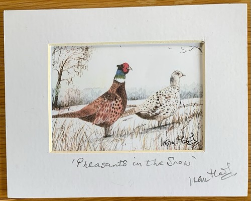 Pheasants the snow - ‘pheasants, snow’