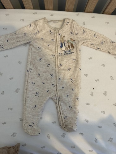Peter rabbit fleece - rabbit,