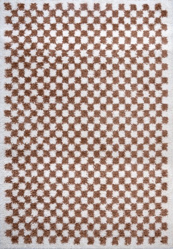 The rugs soft shaggy - soft, non-shed