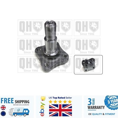 Steering knuckle for renault - knuckle,