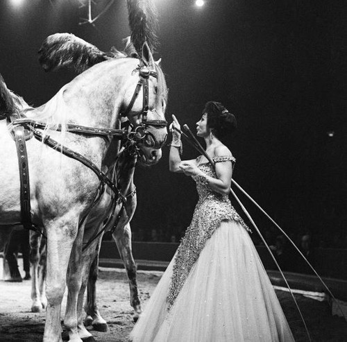 Bertram mills circus 1954 - bertram,