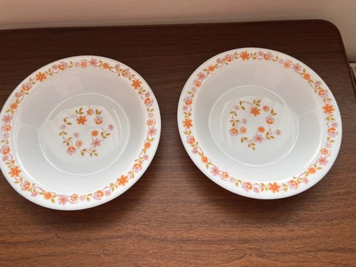 Soup bowls arcopal - soup,