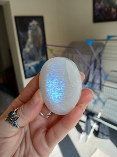 White moonstone palm - white, stone