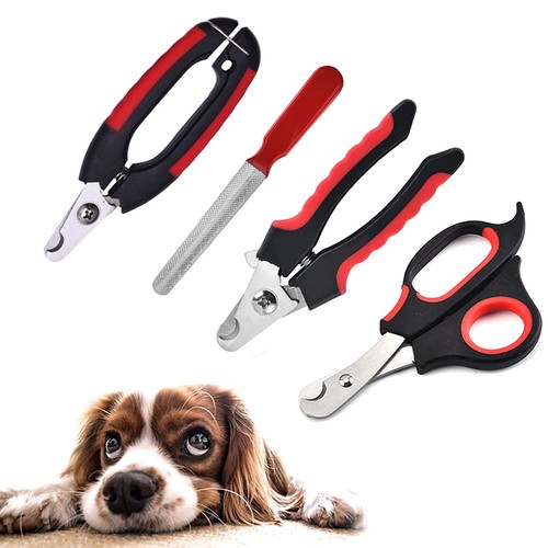 Pet nail clippers cat - pet, dog