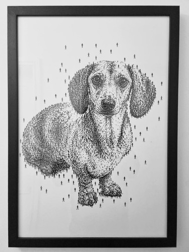 Miniature dachshund original - miniature,