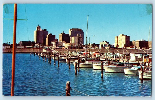 Corpus christi texas - corpus,