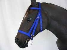 Official Libby's Schooling Bridle in Pony Cob Full or Extra Full - Horse Equine 