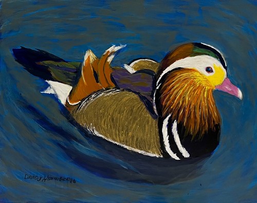 Duck mandarin - mandarin, water