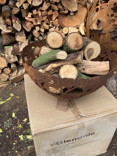 Woodland fire bowl - fire,