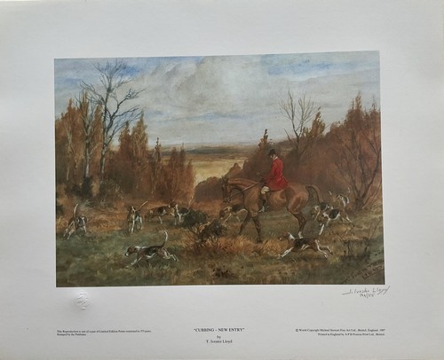 Tom ivester lloyd pairs - tom,