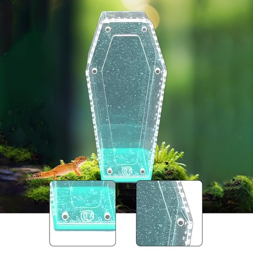 Acrylic tarantula enclosure - tarantula,