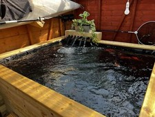 44mm Tanalised Log wooden Raised Aquarium Mini Fish/Koi Pond  100x100x69cm deep