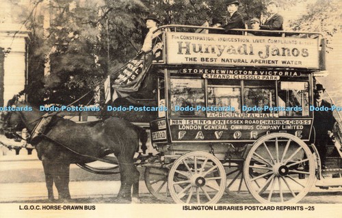 R681726 c horse - l.,