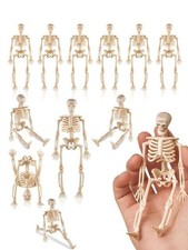 Skeleton Small Posable Plastic Skeleton With Movable Jo 4pc Halloween Decoration