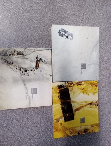 Collection recoil project - cd,