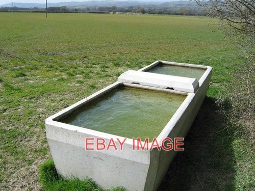 Photo cattle water trough - ,