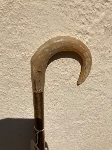 Rams horn crook handle - rams,