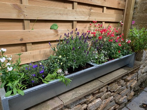 Galvanised garden planter - garden,