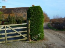 Photo 6x4 Hook Lane and