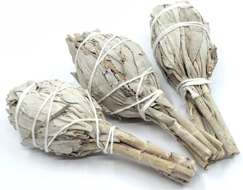White sage torch smudge - torch,