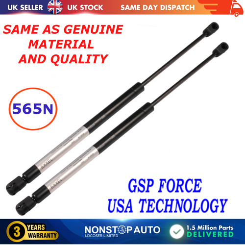 Rear tailgate gas - tailgate, struts