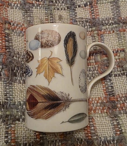Seeds feathers botanical - seeds, &