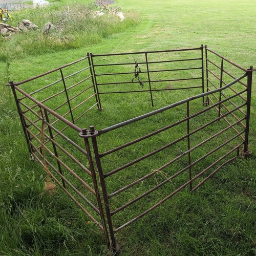 Sheep hurdles 5 - sheep,