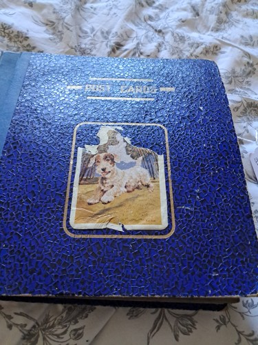 Old postcard album plus loose - album,