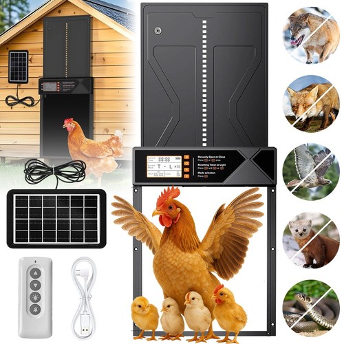 Automatic chicken coop door - chicken,
