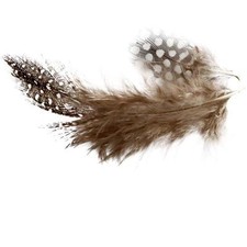 100 x Guinea Fowl Feathers Craft Accessories Decoration Good Quality Natural 3g