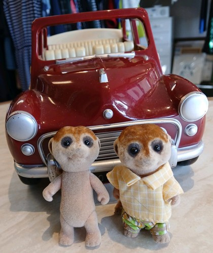 Sylvanian families red poppy - families,