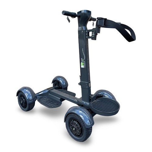 Stand and electric golf - stand,