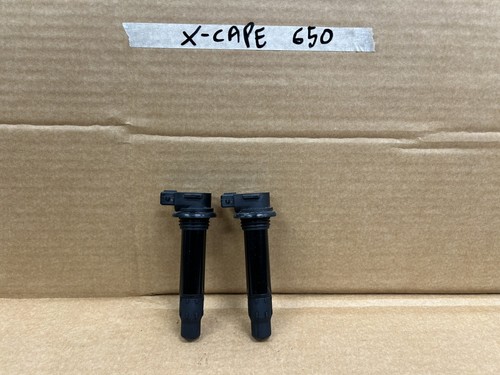 Complete coil moto - coil,