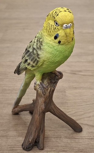 Hotant green budgerigar budgie - green,