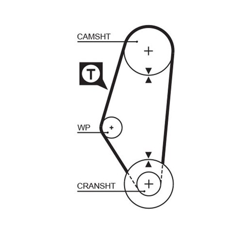Timing belt 1024mm - timing, length