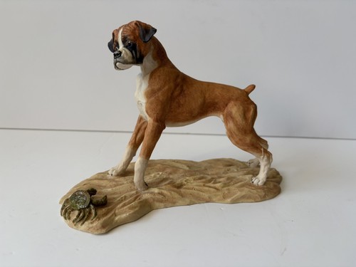 Vintage heredities boxer dog - heredities,