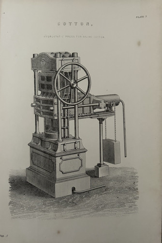 Antique print cotton c1880s - cotton,